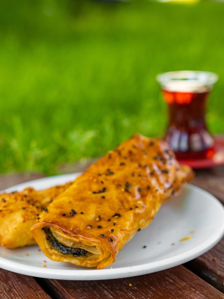 Ispanaklı Paçanga